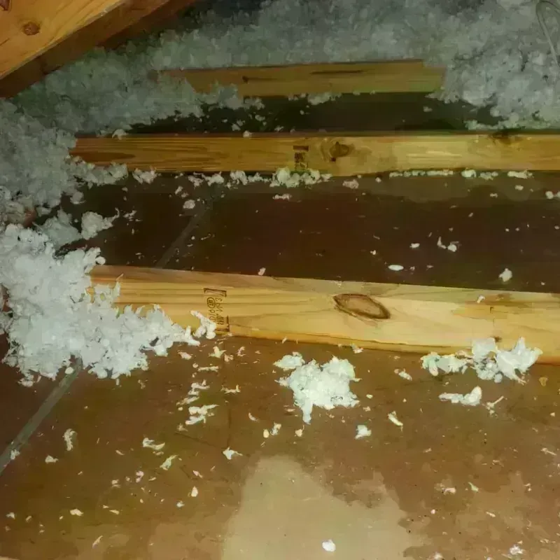 Attic Water Damage in Scissors, TX